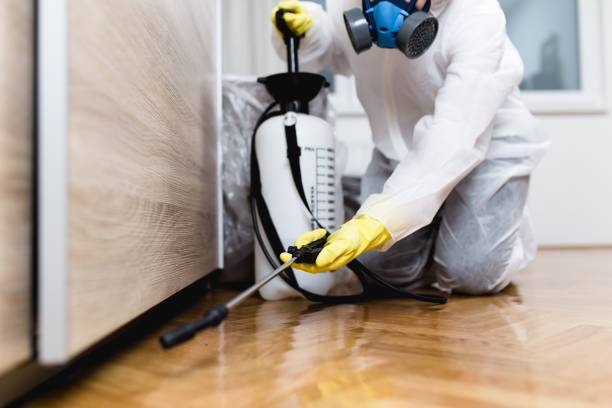 Best Pest Prevention Services  in Varnville, SC