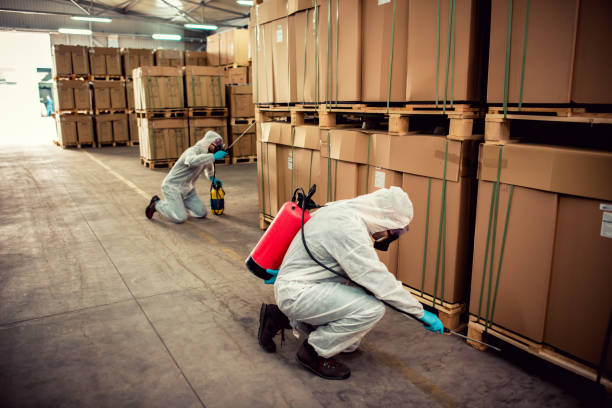 Best Local Pest Control Services  in Varnville, SC