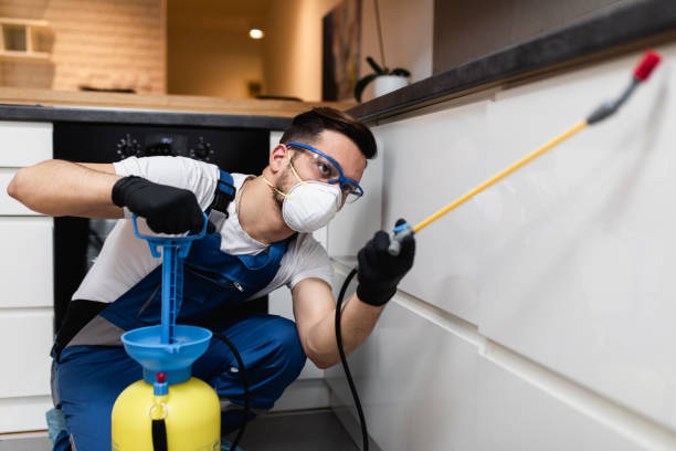 Best Best Pest Control Companies  in Varnville, SC