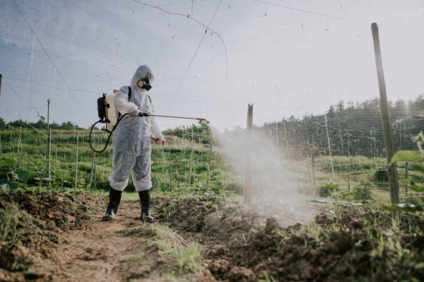 Best Pest Removal Services  in Varnville, SC