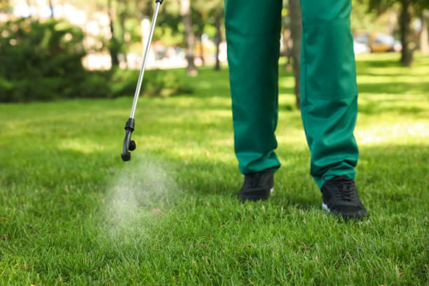 Best Flea Control Services  in Varnville, SC