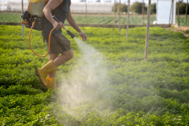 Best Commercial Pest Control Services  in Varnville, SC