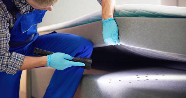 Flea Control Services in Varnville, SC