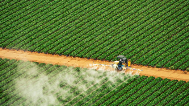 Best Pest Control Treatment  in Varnville, SC