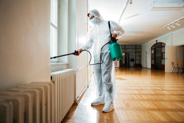 Best Insect Control  in Varnville, SC
