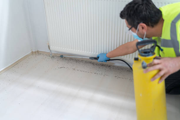 Best Pest Control Cost  in Varnville, SC